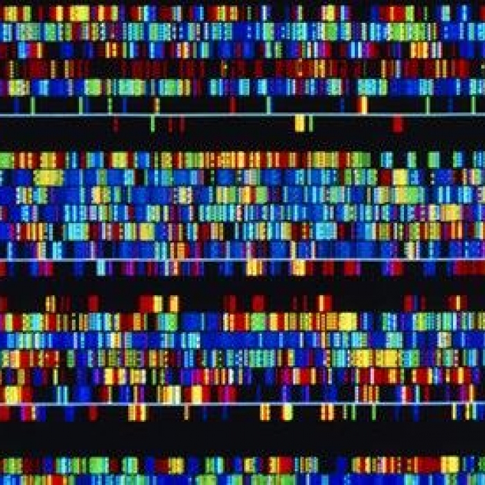 Met de digitalisering gaan we een nieuw tijdperk in!